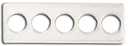 Whitman 2x6 State Quarter Strip 5 Hole -  (25 pack)