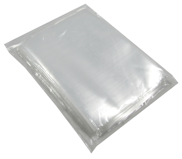 Graded Slab Coin Protector Bag